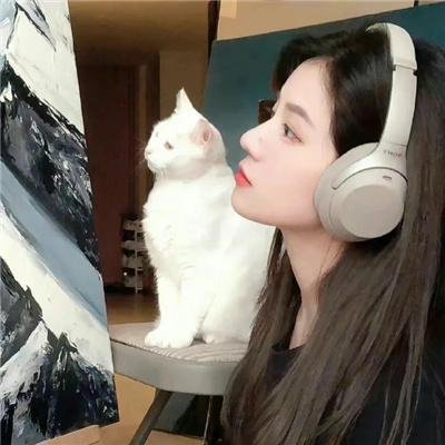 迷失丛林