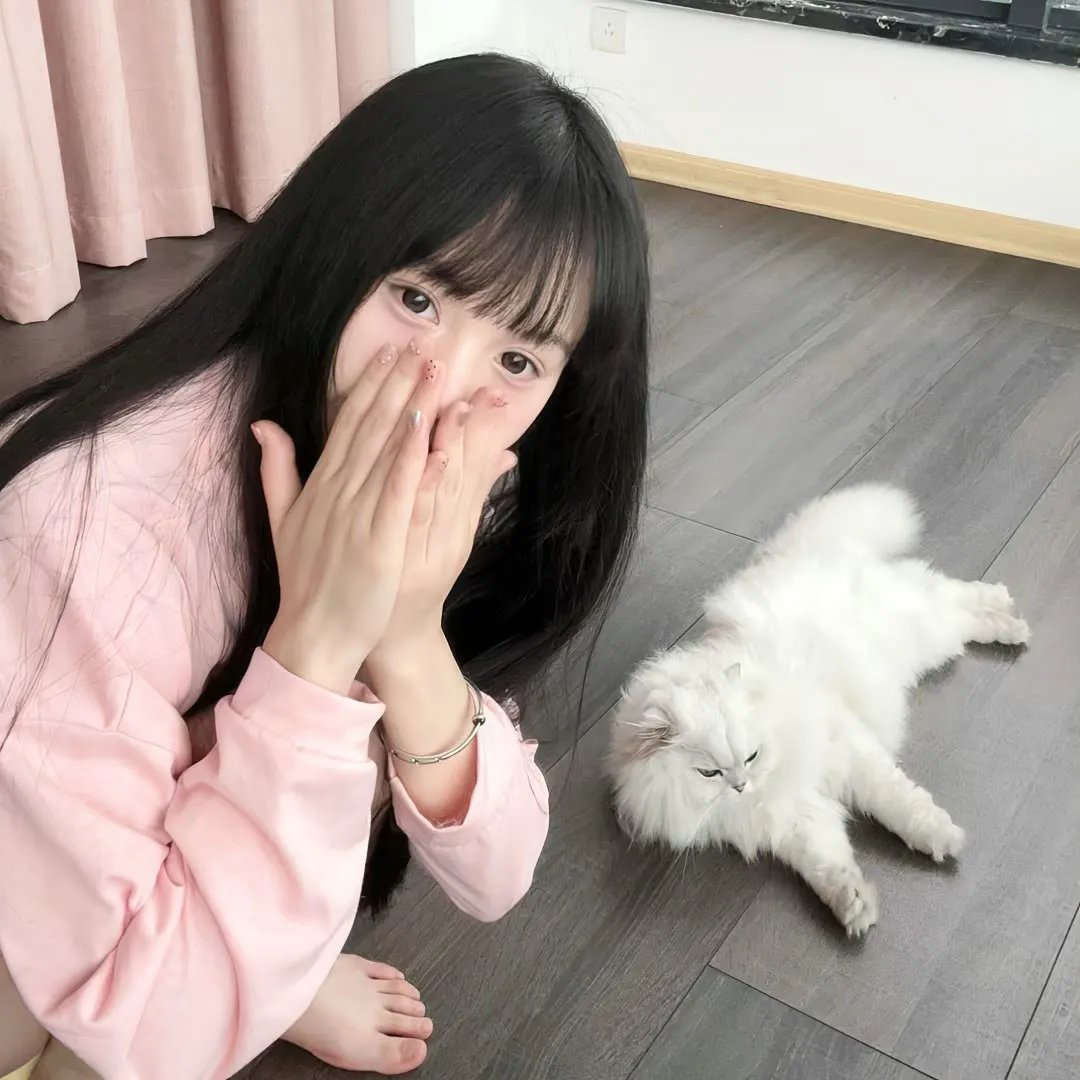 离狼之歌